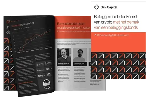 Brochure Gini Capital